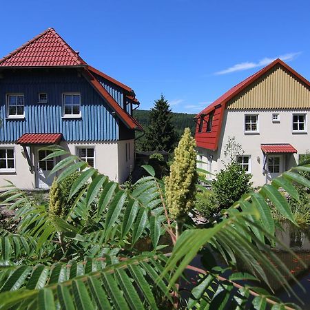 Hasseroeder Ferienpark Wernigerode Esterno foto